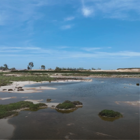 BALANDRA